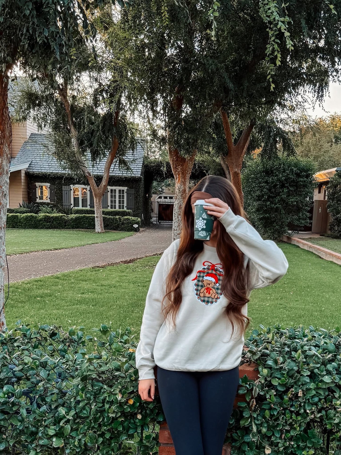 Gingham Teddy Bear Frame Embroidery Crewneck Pullover