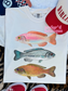 Trendy Fish Tee