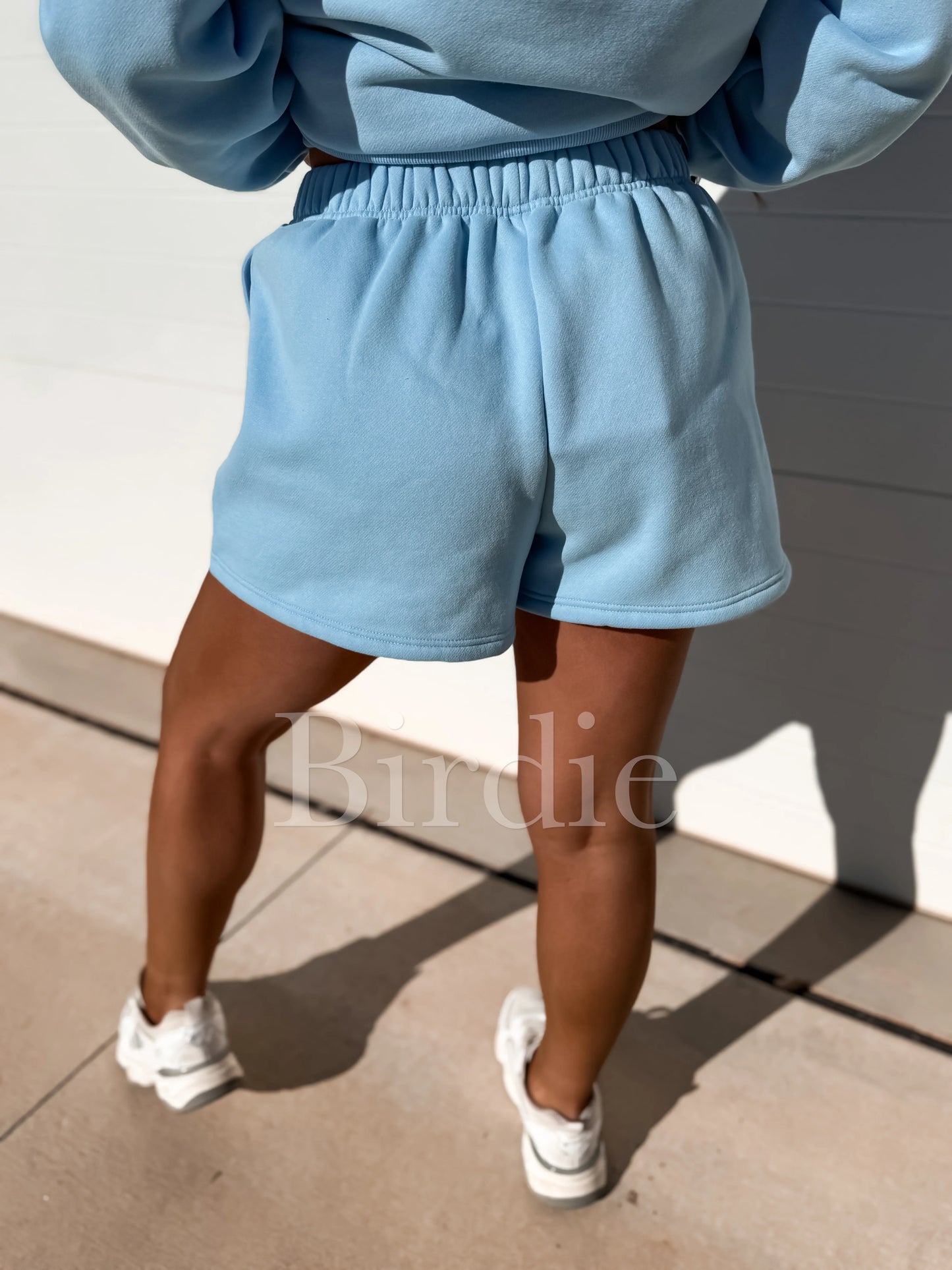 PREORDER Birdie Main Character Spring Set in Light Blue (Sold Individually)