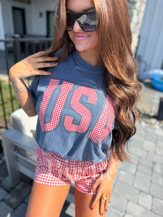 USA Red Gingham Graphic Tee on Denim