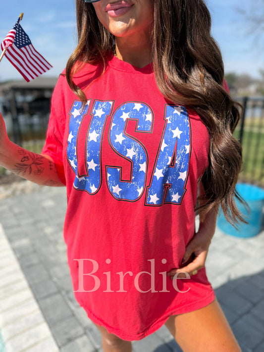 Star USA Graphic Tee on Paprika