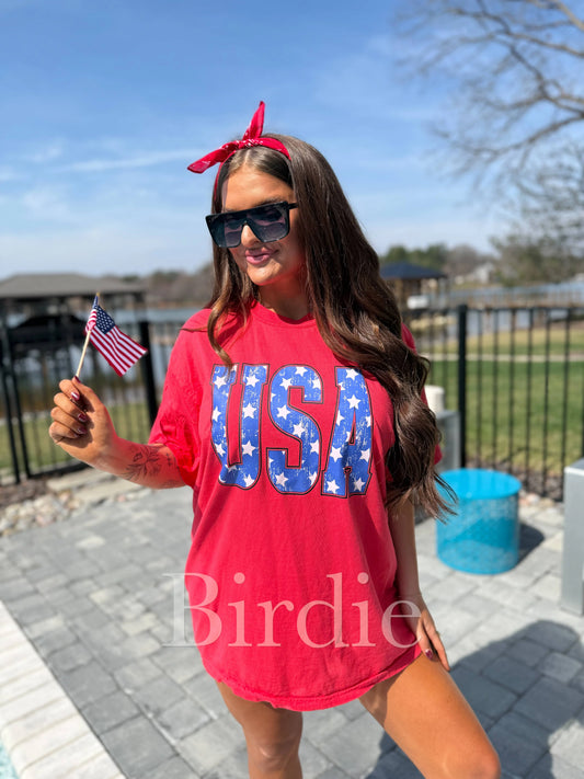 Star USA Graphic Tee on Paprika